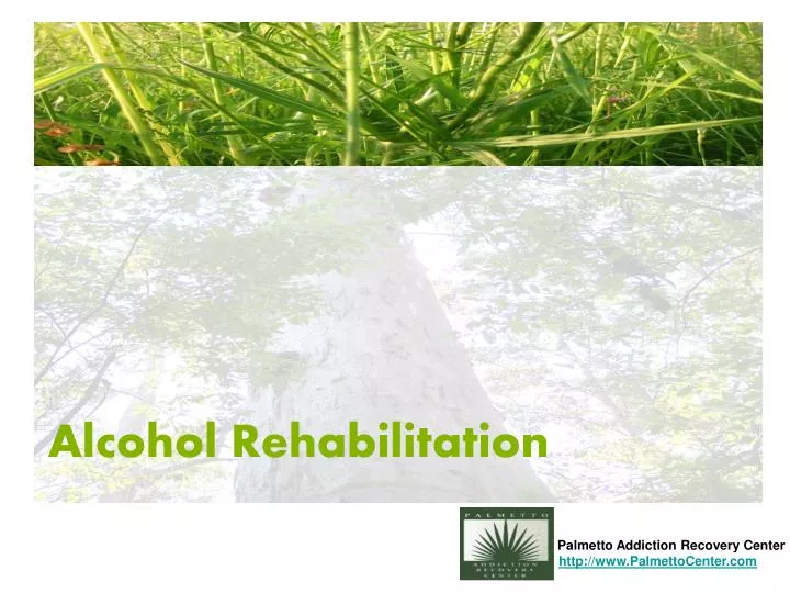 alcohol rehabilitation