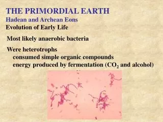 THE PRIMORDIAL EARTH Hadean and Archean Eons Evolution of Early Life