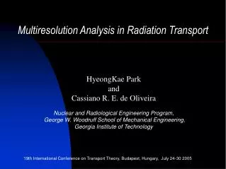 Multiresolution Analysis in Radiation Transport