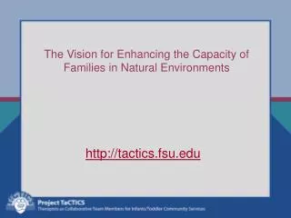 The Vision for Enhancing the Capacity of Families in Natural Environments