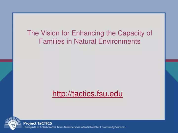 the vision for enhancing the capacity of families in natural environments