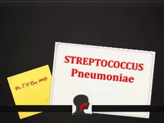 Streptococcus pneumina