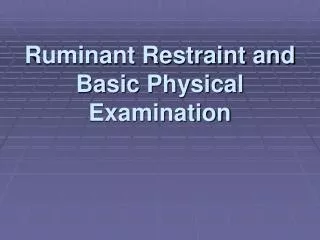 Ruminant Restraint and Basic Physical Examination