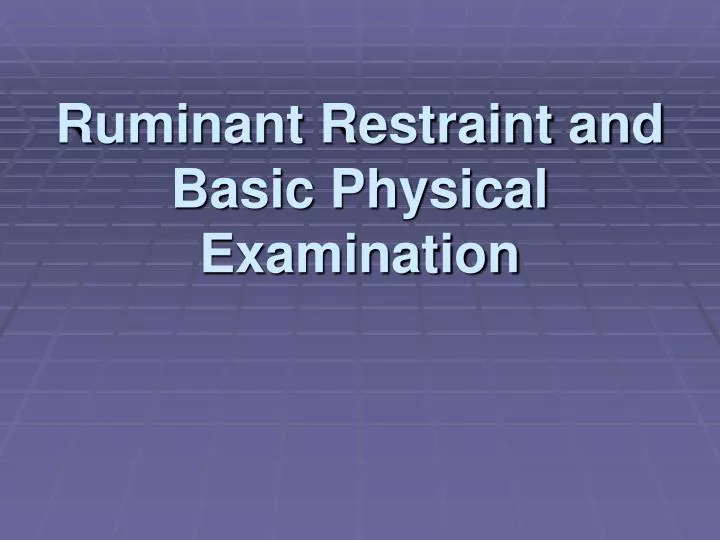ruminant restraint and basic physical examination