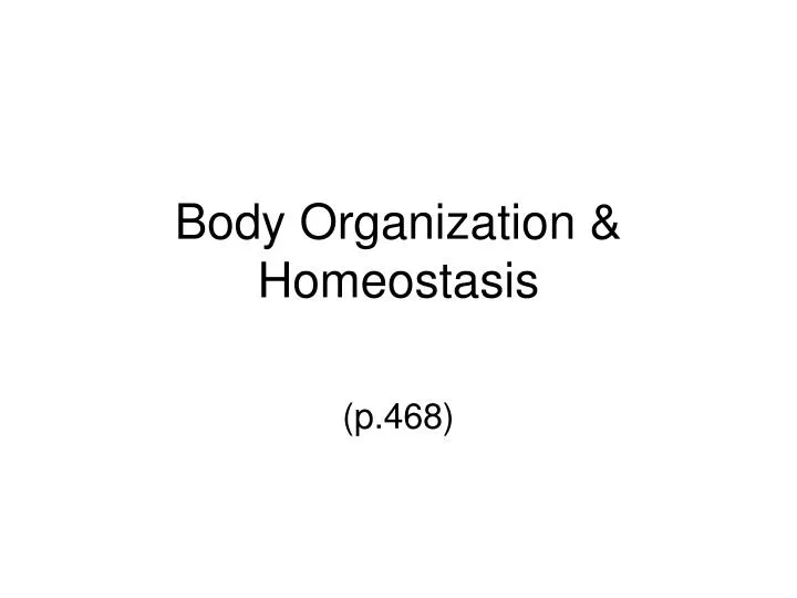 body organization homeostasis