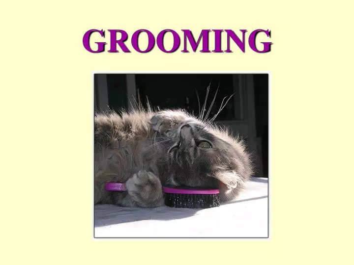 grooming