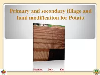 Primary and secondary tillage and land modification for Potato