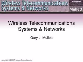 Wireless Telecommunications Systems &amp; Networks