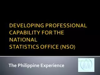 DEVELOPING PROFESSIONAL CAPABILITY FOR THE NATIONAL STATISTICS OFFICE (NSO )
