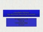 Long-Span Culverts Soil-Structure Interaction Concepts - slide 1
