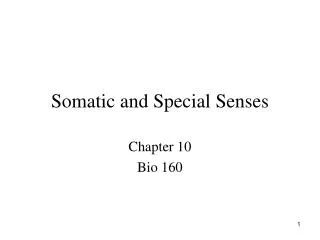 somatic and special senses