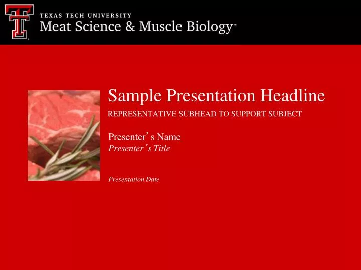 sample presentation headline representative subhead to support subject