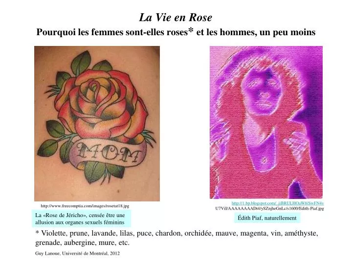 la vie en rose pourquoi les femmes sont elles roses et les hommes un peu moins