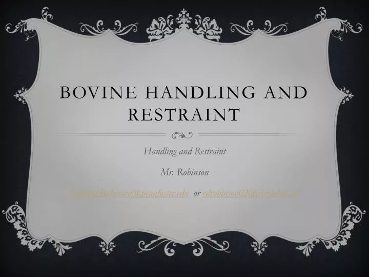 bovine handling and restraint