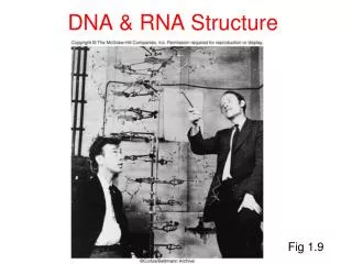 DNA &amp; RNA Structure