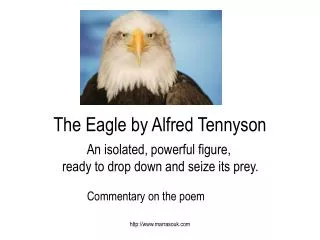 The Eagle by Alfred Tennyson