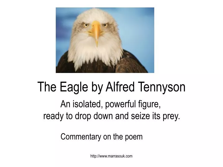 the eagle by alfred tennyson