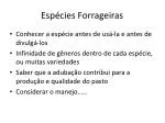Espécies Forrageiras - slide 1
