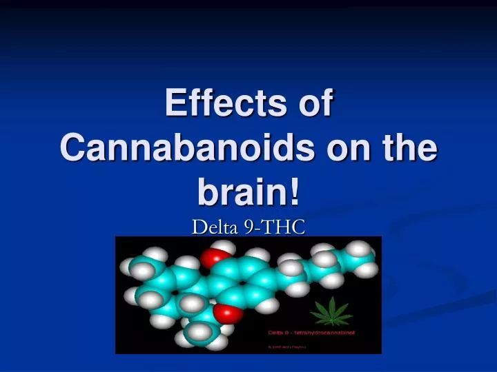effects of cannabanoids on the brain