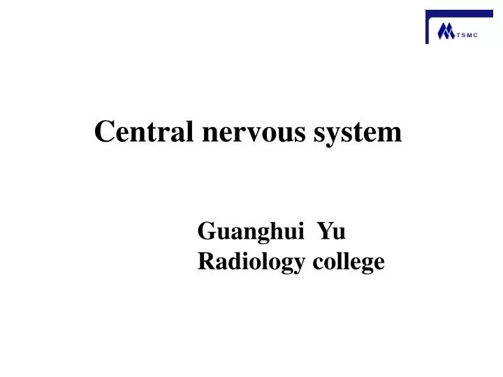 central nervous system