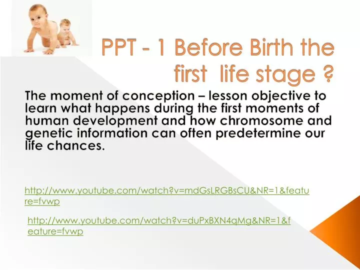 ppt 1 before birth the first life stage