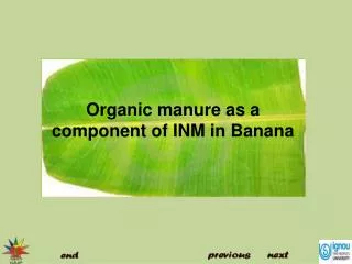 Organic manure as a component of INM in Banana