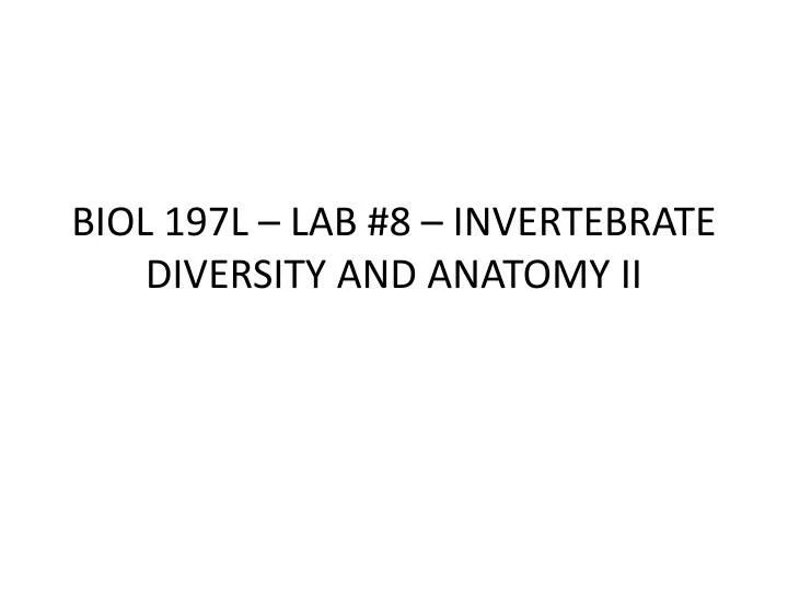 biol 197l lab 8 invertebrate diversity and anatomy ii