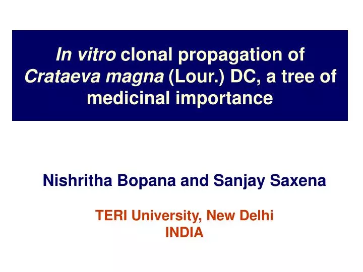 in vitro clonal propagation of crataeva magna lour dc a tree of medicinal importance