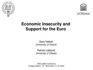 Economic Insecurity and Support for the Euro
