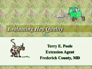 Evaluating Hay Quality
