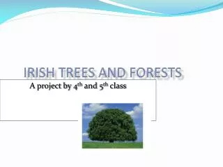 Irish Trees and forests