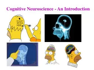 Cognitive Neuroscience - An Introduction