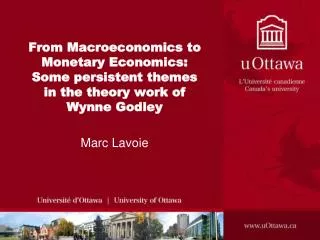 From Macroeconomics to Monetary Economics: Some persistent themes in the theory work of Wynne Godley