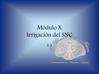 m dulo x irrigaci n del snc