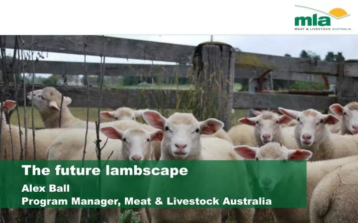 the future lambscape alex ball program manager meat livestock australia