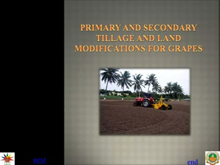 primary and secondary tillage and land modifications for grapes