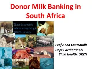 Donor Milk Banking in South Africa