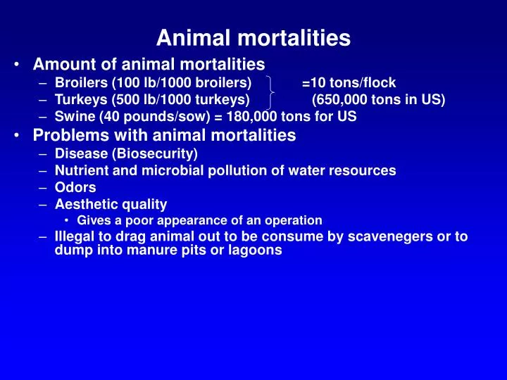 animal mortalities