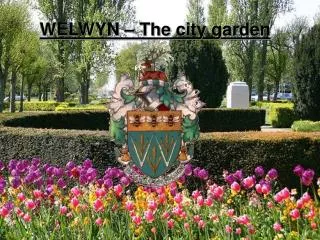 WELWYN – The city garden