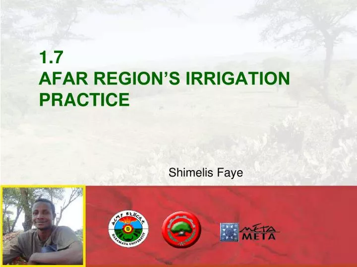 1 7 afar region s irrigation practice