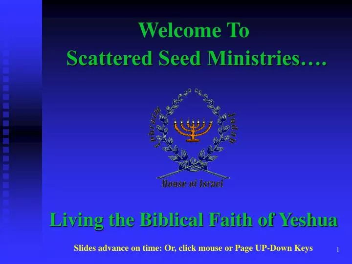 scattered seed ministries