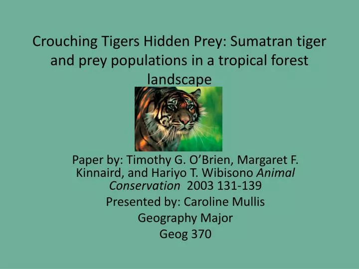 crouching tigers hidden prey sumatran tiger and prey populations in a tropical forest landscape