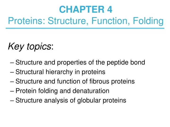 chapter 4 proteins structure function folding