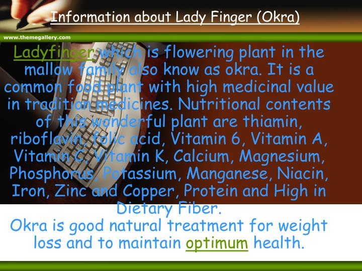 information about lady finger okra