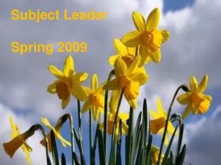 Subject Leader Spring 2009