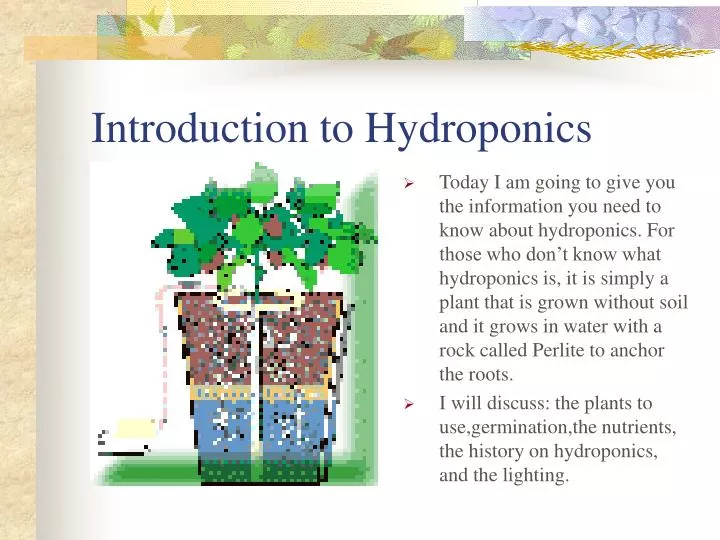 introduction to hydroponics
