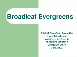 Broadleaf Evergreens