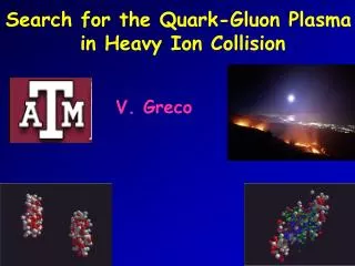 Search for the Quark-Gluon Plasma in Heavy Ion Collision