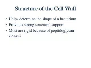 Structure of the Cell Wall