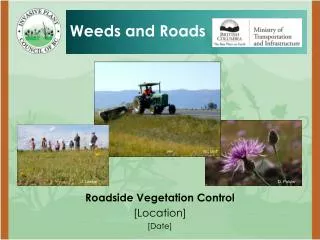 Roadside Vegetation Control [Location] [Date]